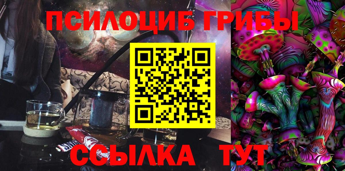 Полевской  Галлюциногенные грибы Cubensis  Вход с VPN  Галлюциногенные грибы GOLDEN TEACHER 