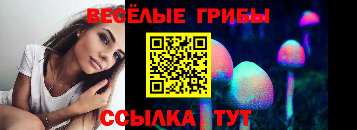 Галлюциногенные грибы Cubensis Полевской